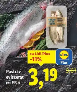 Lidl Păstrăv eviscerat Ofertă