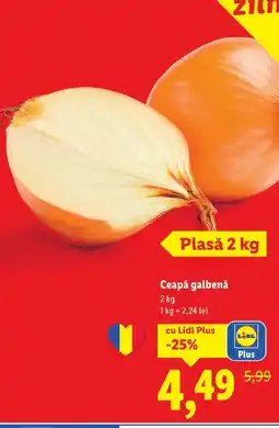 Lidl Ceapǎ galbenă Ofertă