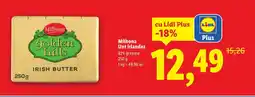 Lidl Milbona Unt irlandez Ofertă
