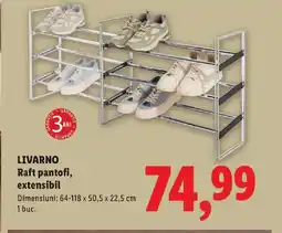 Lidl LIVARNO Raft pantofi, extensibil Ofertă