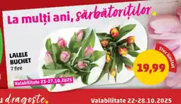 Penny Lalele buchet Ofertă