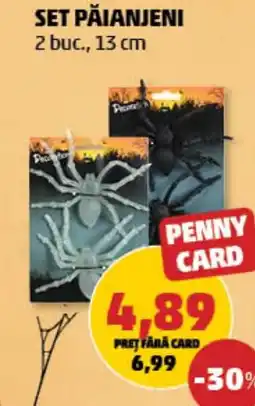 Penny Set păianjeni Ofertă