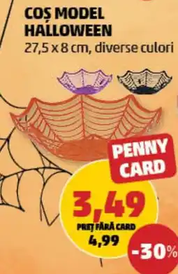 Penny Coş model halloween Ofertă
