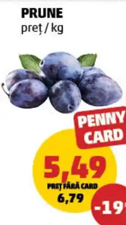 Penny Prune Ofertă