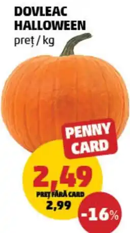Penny Dovleac halloween Ofertă