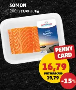 Penny Somon Ofertă