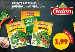 Penny Galeo Frunze pătrunjel, Busuioc, Cimbru Ofertă