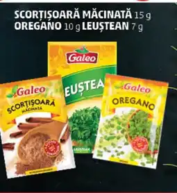 Penny Galeo Scorţişoară măcinată , Oregano , Leuștean Ofertă
