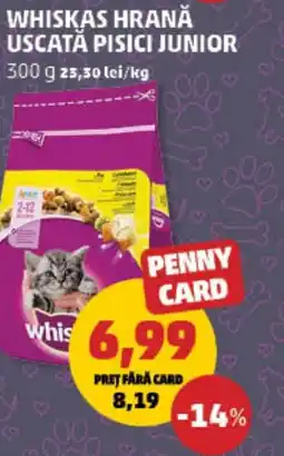 Penny Whiskas hrană uscată pisici junior Ofertă