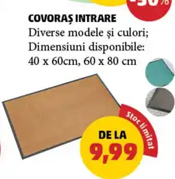 Penny Covoras intrare Ofertă