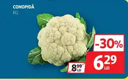 Auchan Conopidă Ofertă