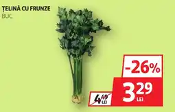 Auchan Ţelină cu frunze Ofertă