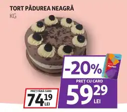 Auchan Tort pădurea neagră Ofertă