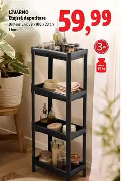 Lidl LIVARNO Etajerǎ depozitare Ofertă