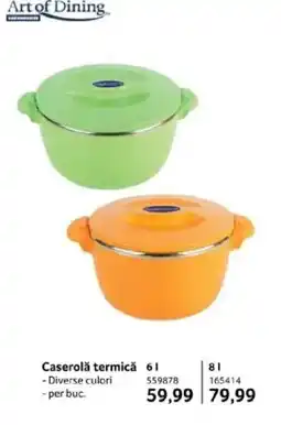 Selgros Caserolǎ termică Ofertă