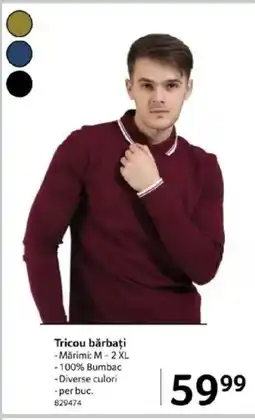 Selgros Tricou bărbați Ofertă