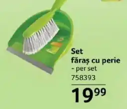 Selgros Set făraş cu perie Ofertă
