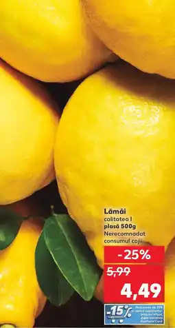 Kaufland Lămâi Ofertă