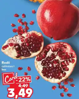Kaufland Rodii Ofertă