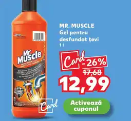 Kaufland MR. MUSCLE Gel pentru desfundat ţevi Ofertă
