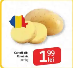 Supeco Cartofi albi România Ofertă
