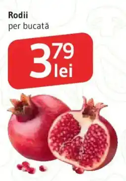 Supeco Rodii Ofertă