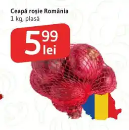 Supeco Ceapă roşie România Ofertă