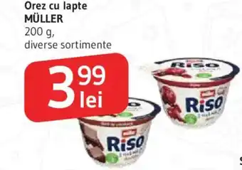Supeco MÜLLER Orez cu lapte Ofertă