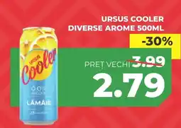 Simos Ursus cooler Ofertă