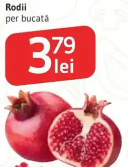 Supeco Rodii Ofertă