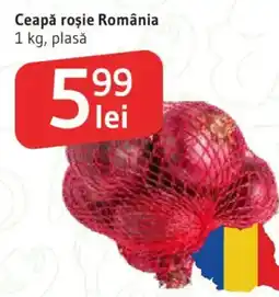 Supeco Ceapă roşie România Ofertă