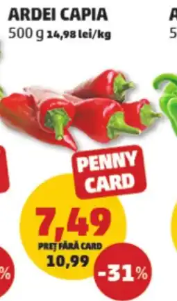 Penny Ardei capia Ofertă