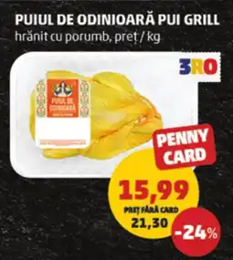 Penny Puiul de odinioară pui grill Ofertă