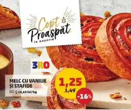 Penny Melc cu vanilie și stafide Ofertă