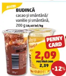 Penny BUDINCĂ cacao si smântânǎ/ vanilie şi smântână Ofertă