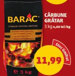 Penny Cărbune gratar Ofertă