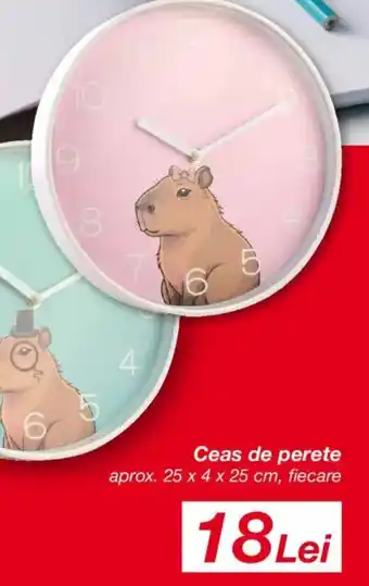 Kik Ceas de perete Ofertă