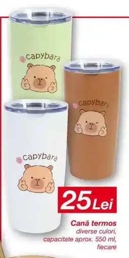 Kik Canǎ termos Ofertă