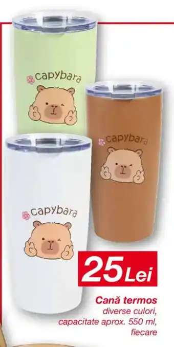 Kik Canǎ termos Ofertă