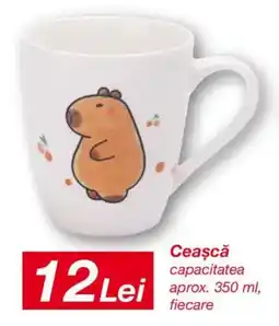 Kik Cească capacitatea Ofertă