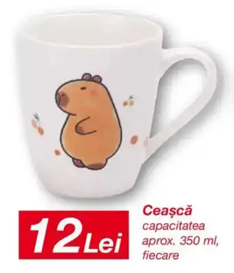 Kik Cească capacitatea Ofertă