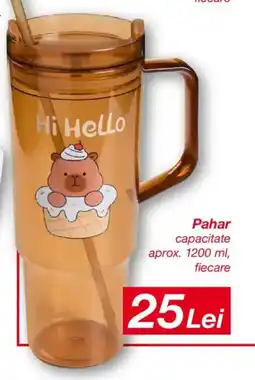 Kik Pahar capacitate aprox. Ofertă