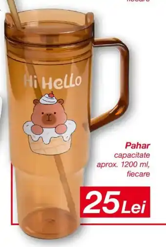 Kik Pahar capacitate aprox. Ofertă