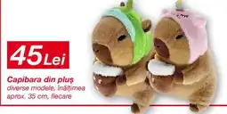 Kik Capibara din plus Ofertă