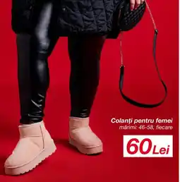 Kik Colanți pentru femei Ofertă