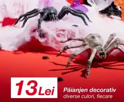 Kik Păianjen decorativ Ofertă