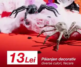 Kik Păianjen decorativ Ofertă