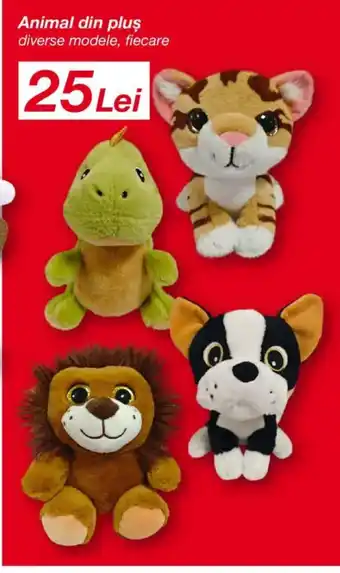 Kik Animal din plus Ofertă