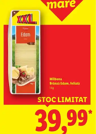 Lidl Milbona Brânză Edam, feliată Ofertă