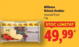 Lidl Milbona Brânză cheddar Ofertă